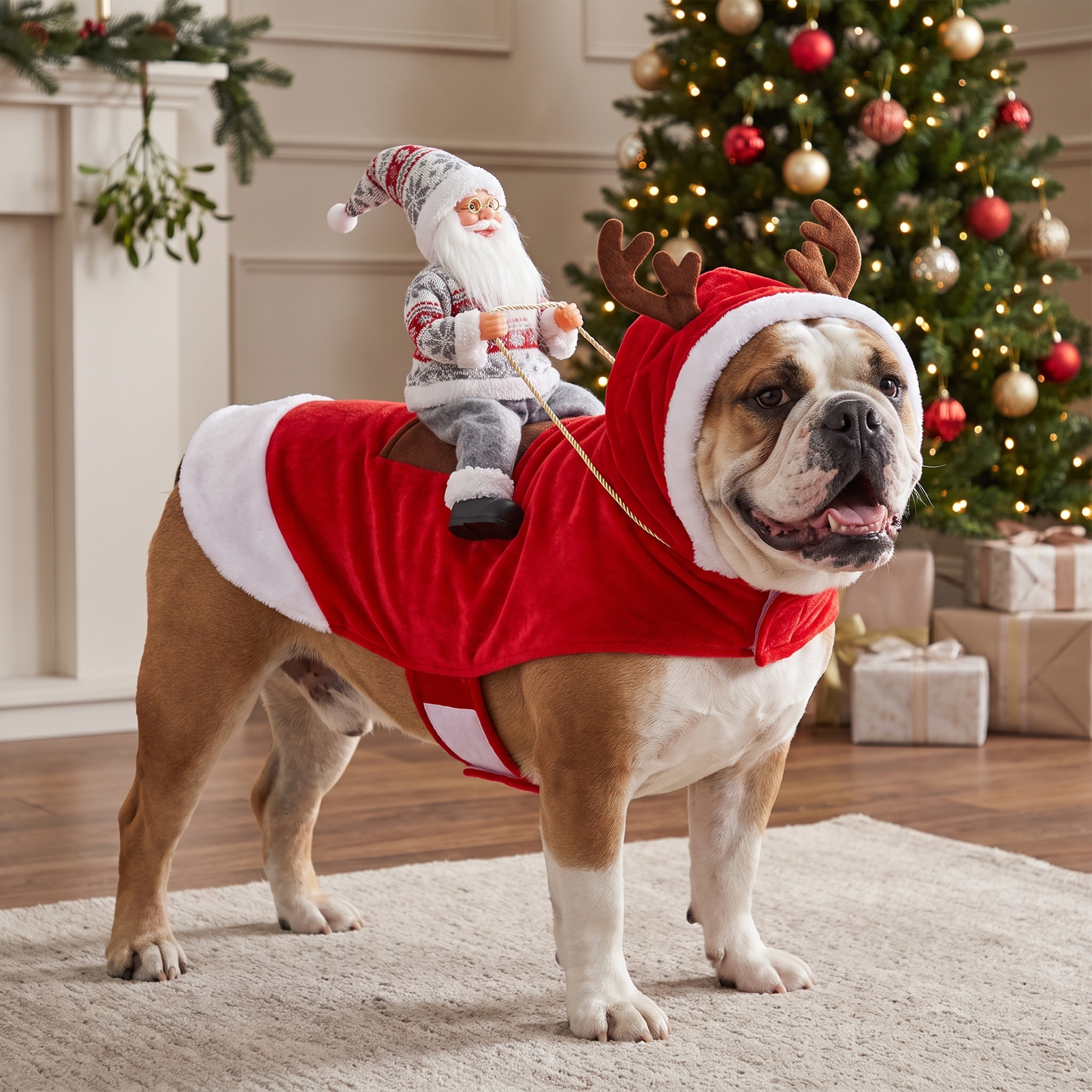 JinglePup™ Santa Dog Costume