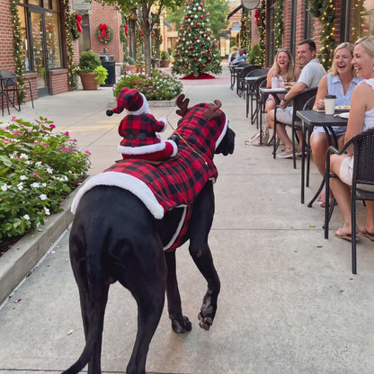 JinglePup™ Santa Dog Costume